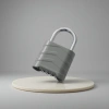 Grey padlock anti-picking stainless steel padlock, 30mm lock body anti-theft padlock, home and office padlock details Picture